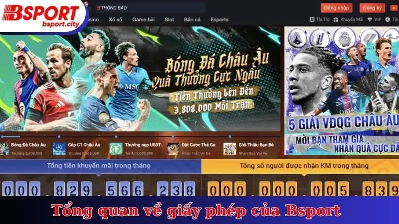 Tổng quan về giấy phép của Bsport