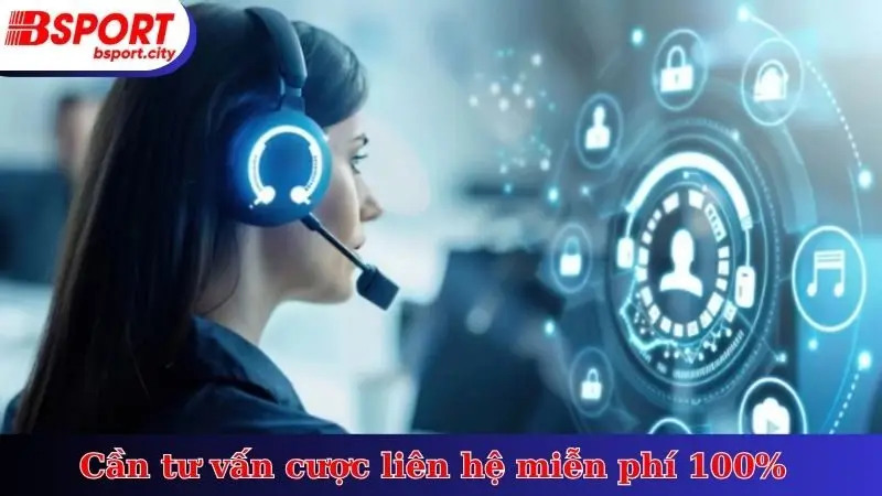 Cần tư vấn cược liên hệ miễn phí 100%