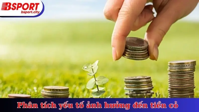 Phân tích yếu tố ảnh hưởng đến tiền cỏ